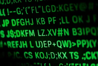 The Silent Thieves: Your Complete Guide to Combating Video Download Bots and Tools in 2025